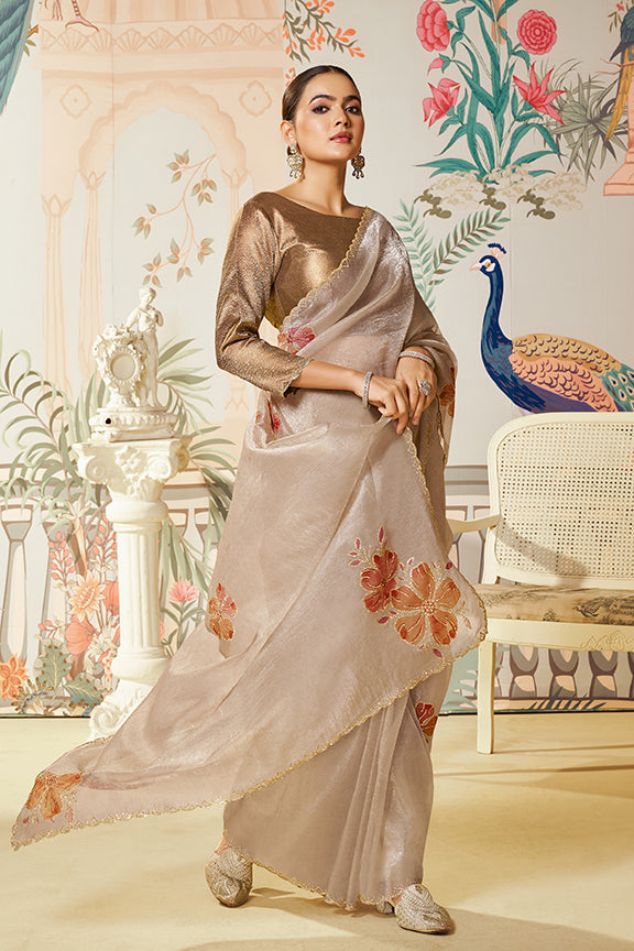 Chiku Satin Organza Swarovski Diamond Work Saree
